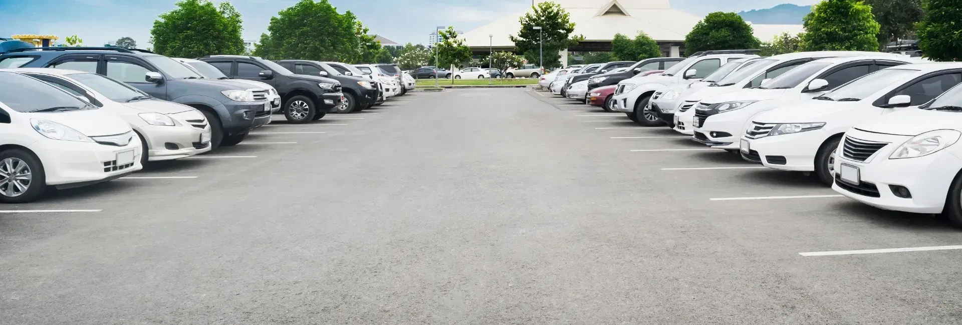 Cars parked in a lot. White and dark-colored vehicles parked between lines. Trees and a building are in the background.
