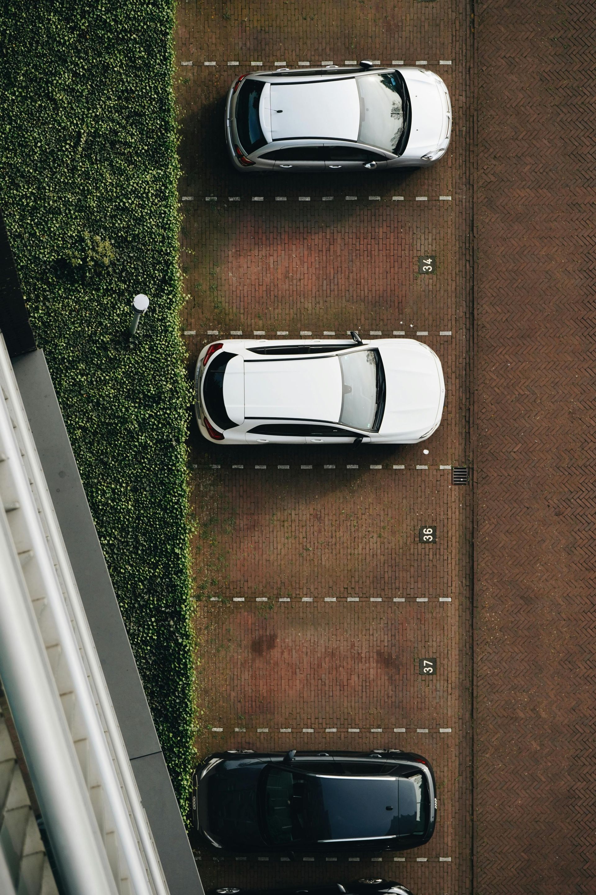 Aerial view of parked cars