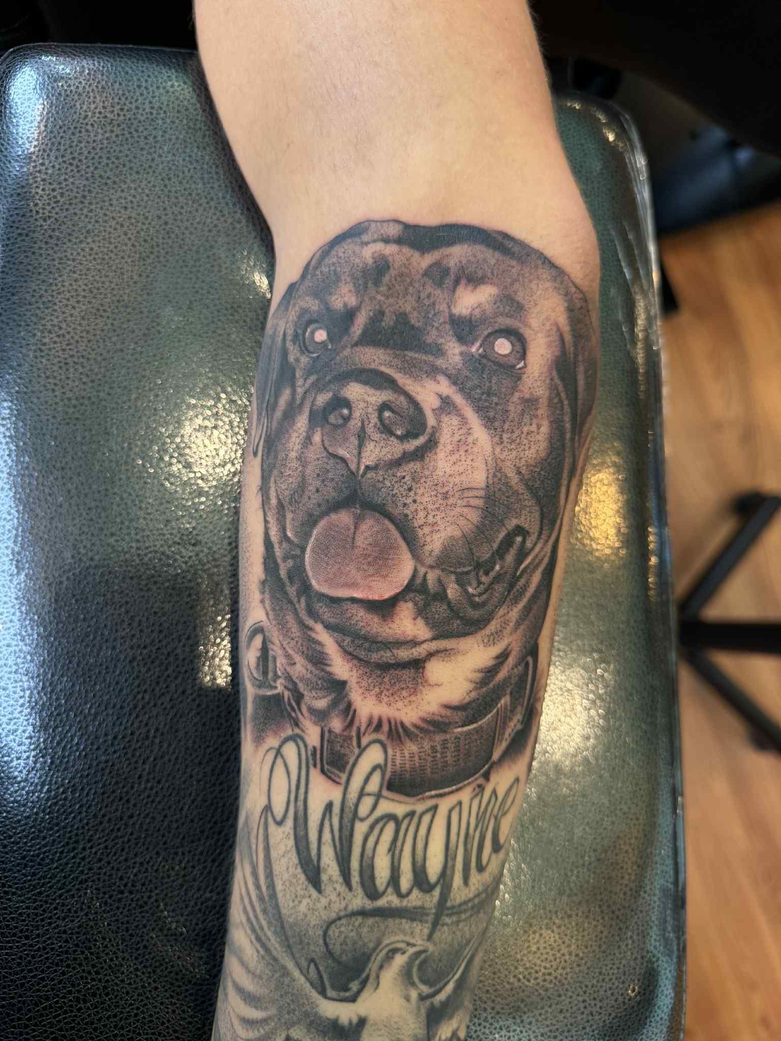 Tattoo of a Rottweiler dog's face on an arm, with the name