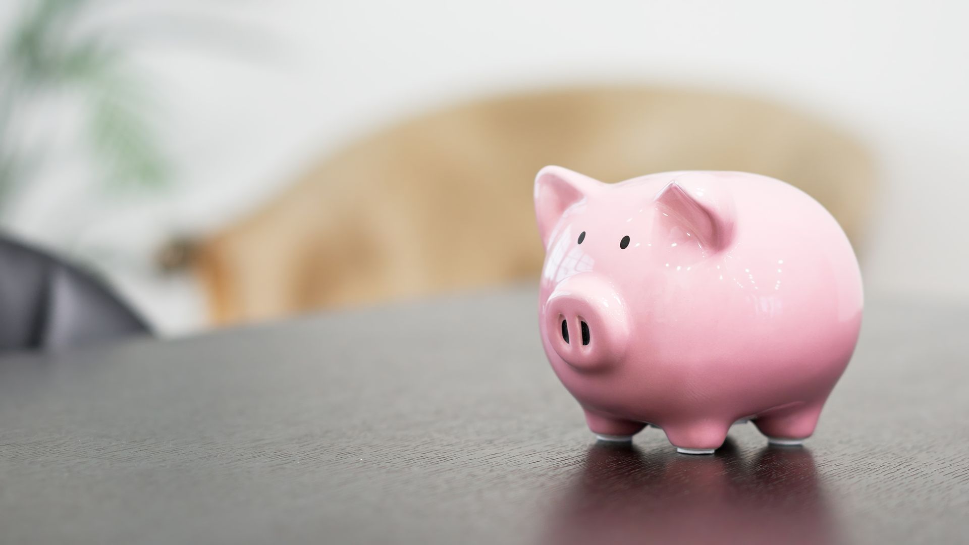 Pink piggy bank on a gray surface with a blurred background