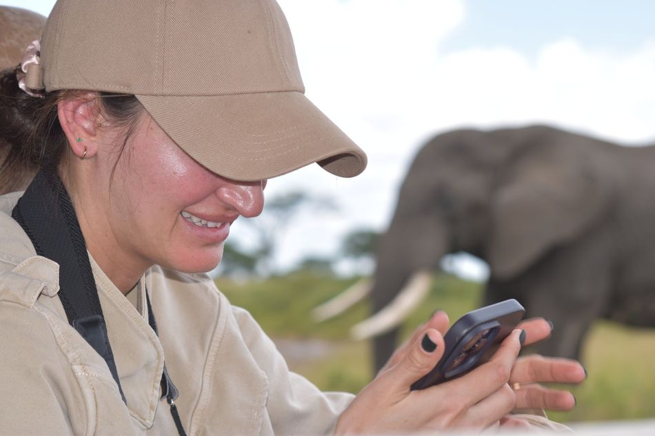 A safari customer in a tan cap and shirt looking at a phone while an elephant stands in the grassy, out-of-focus background.
