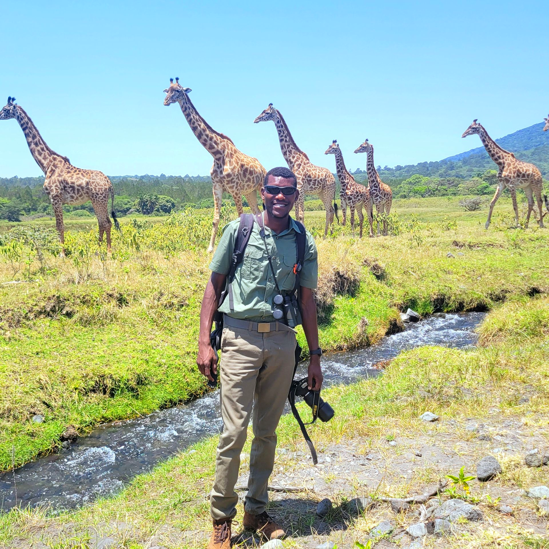 A person stands in a grassy field next to a small stream with a group of giraffes in the background under a blue sky.