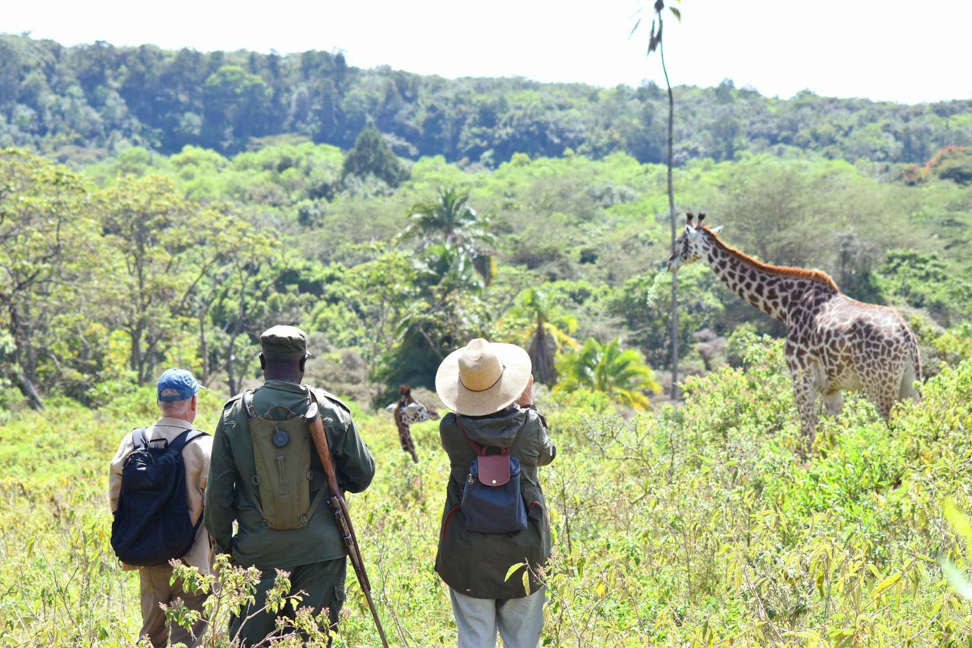 Three people observing a giraffe in a lush, green, sunlit landscape.
