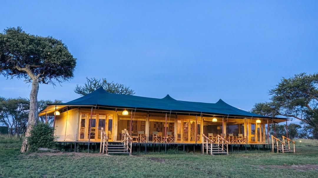 A large, elevated safari tent with a green roof, illuminated by warm interior lighting, set in a grassy savanna at dusk.