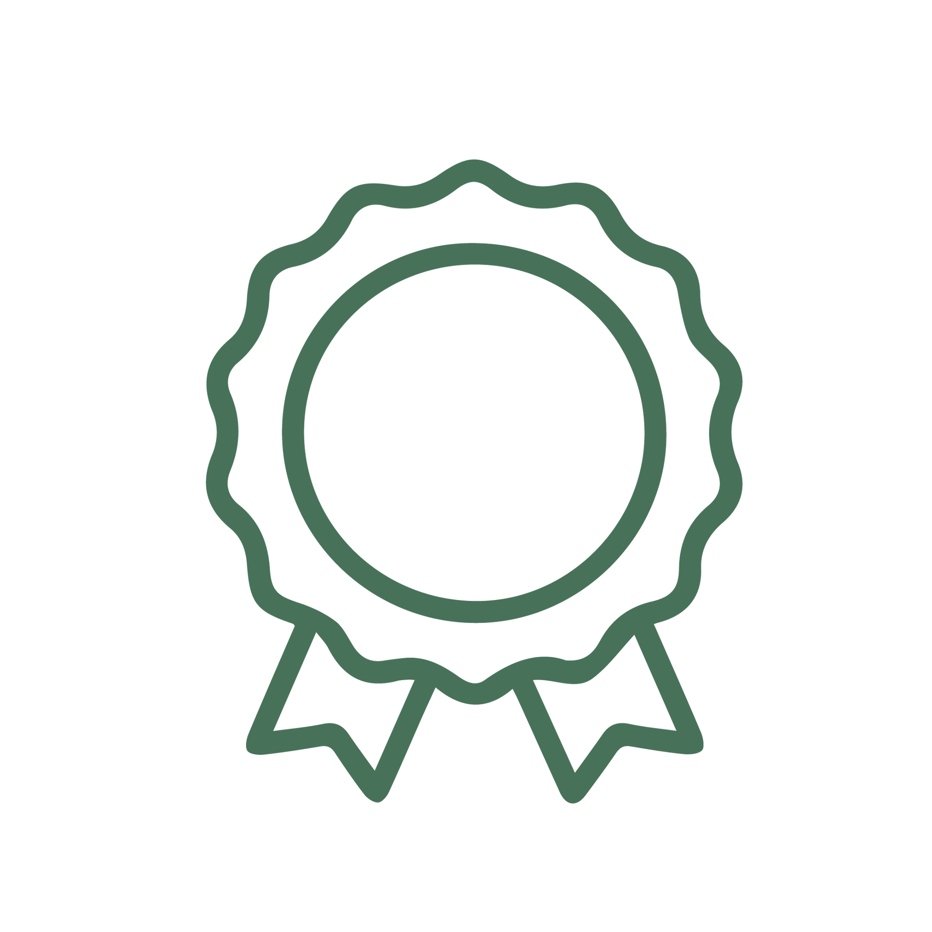 Icono de cinta de premio con contorno verde, sello festoneado y dos colas de cinta.