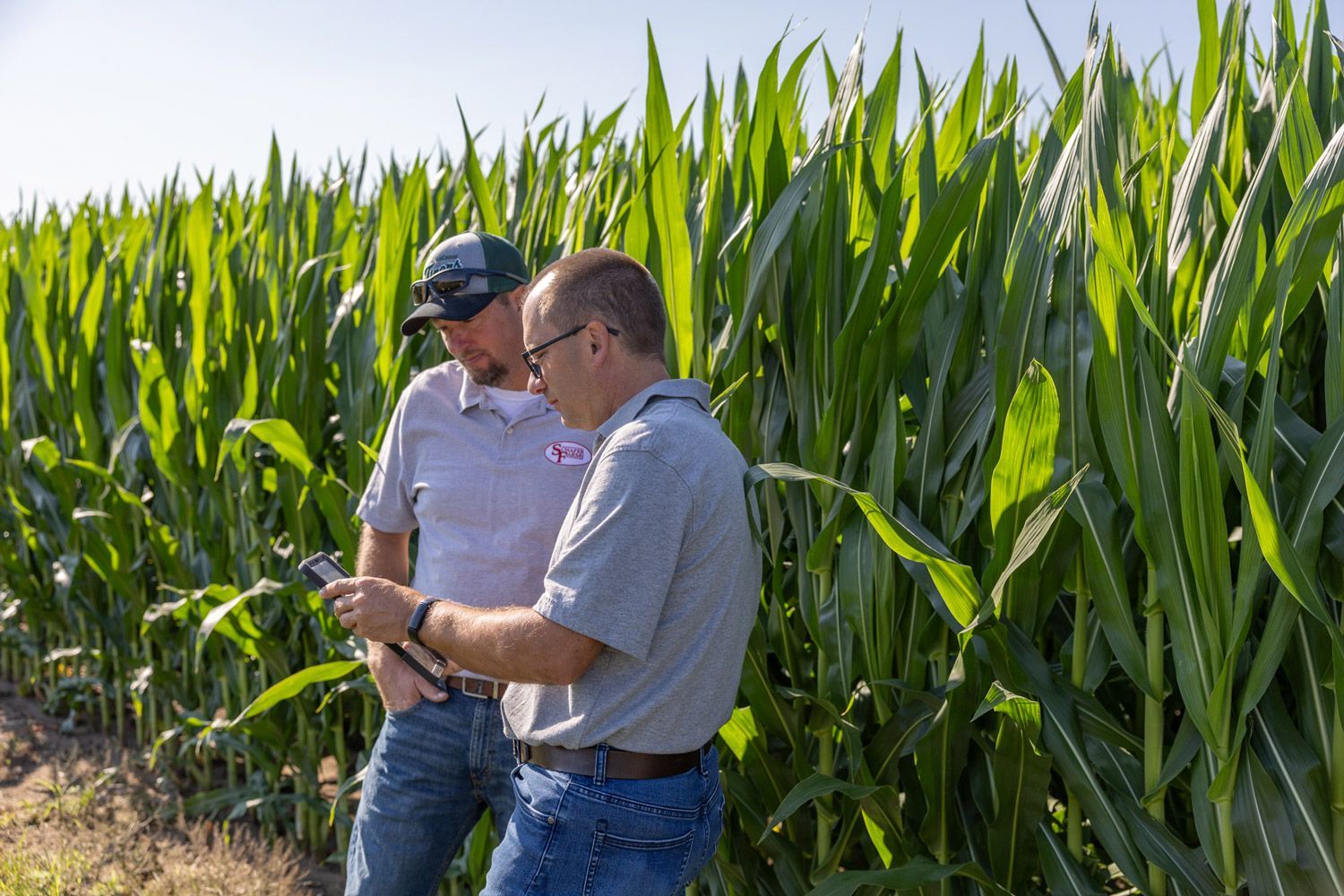 Two men are standing in a corn field looking at a tablet.