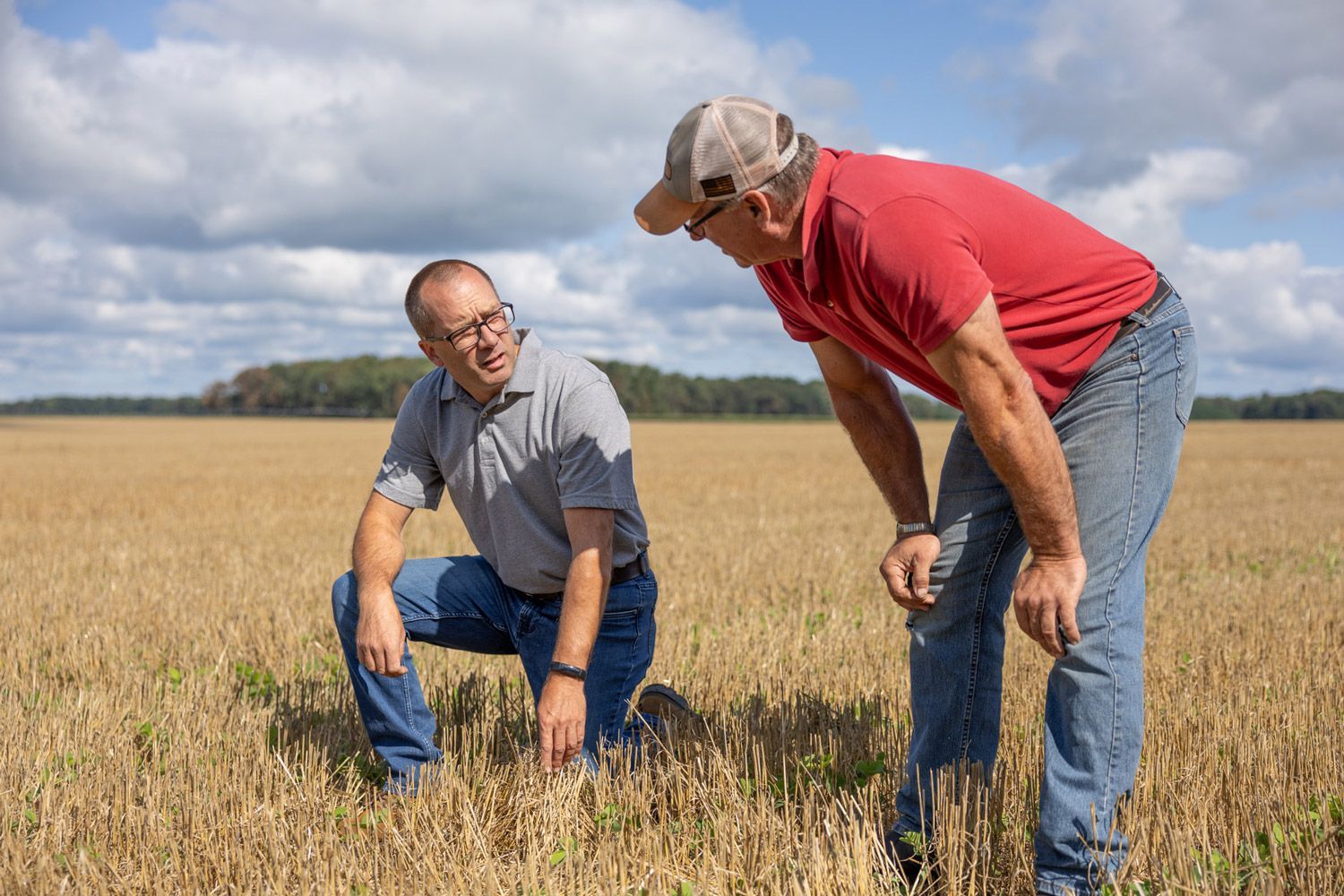 Two men are kneeling in a field looking at a plant.