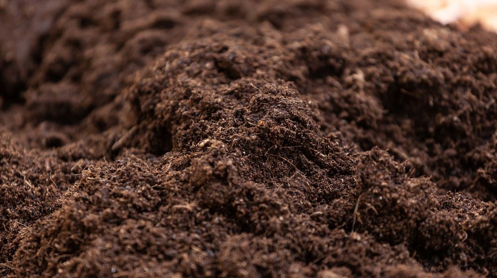 Pile of dark, rich brown soil with a slightly textured surface, suitable for planting.