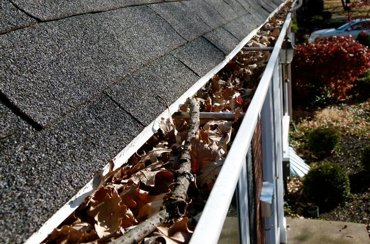 A gutter filled with leaves and branches on a roof
