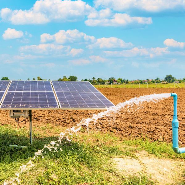 Solar panels in a field with water spraying from a blue pipe under a bright sky