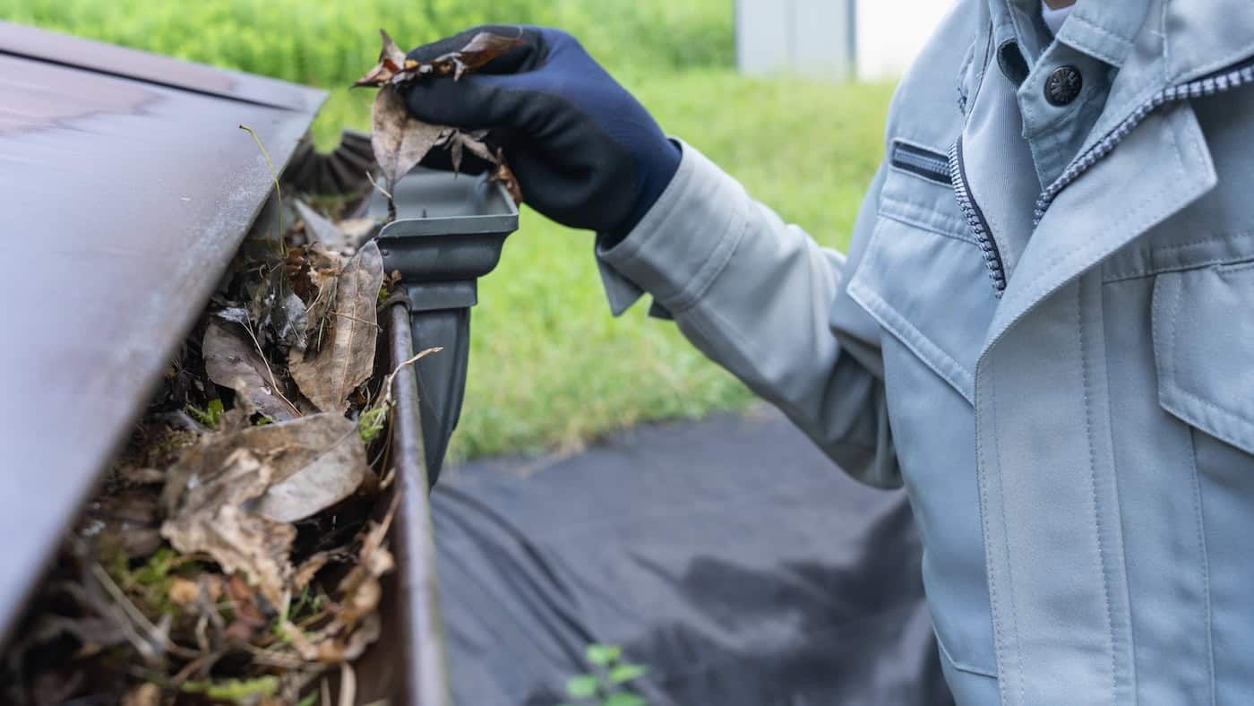Gloved hand inspecting debris-filled roof gutter beside a gray wall and green yard