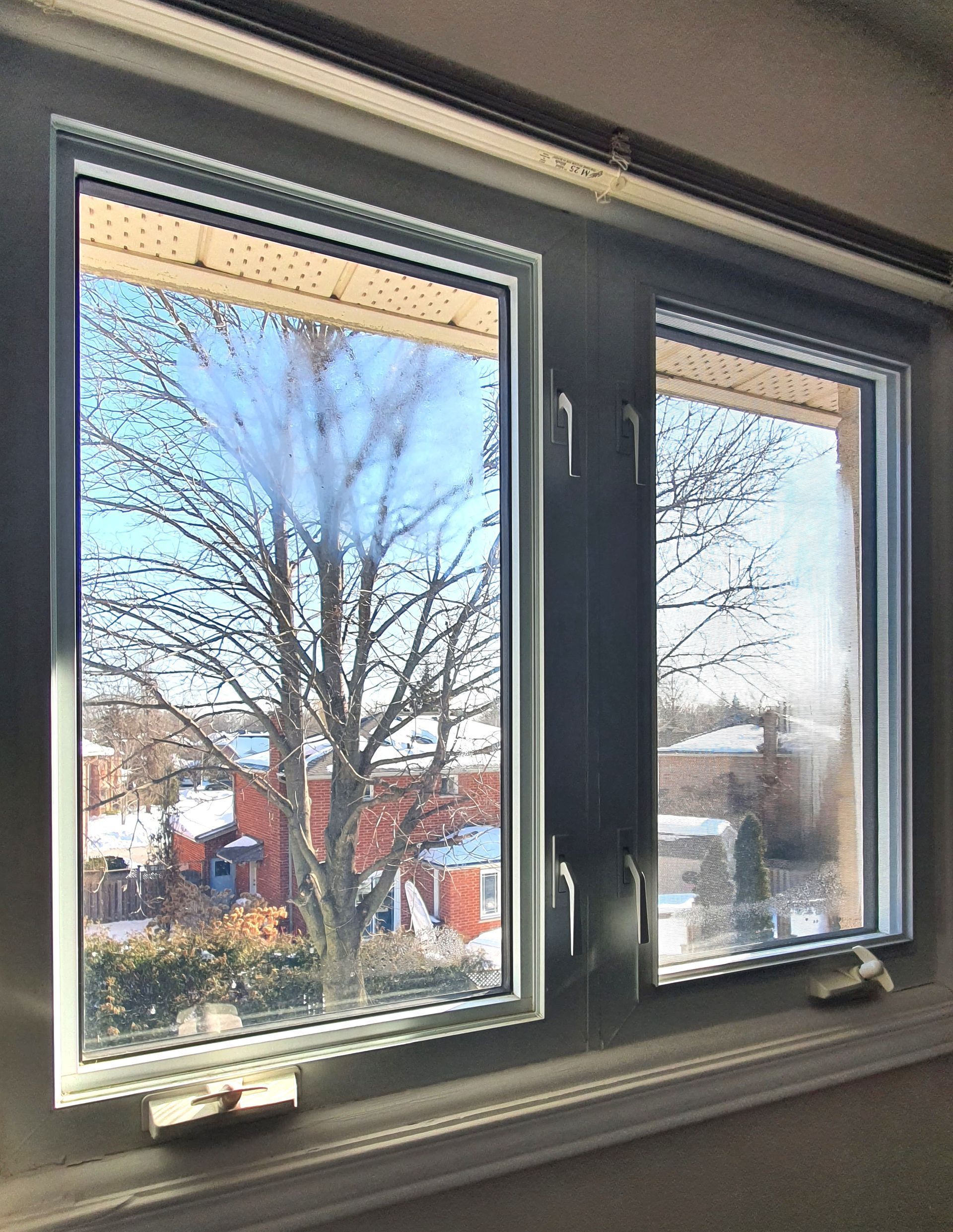 Open window with white frame, showing tree branches and a red building outside.