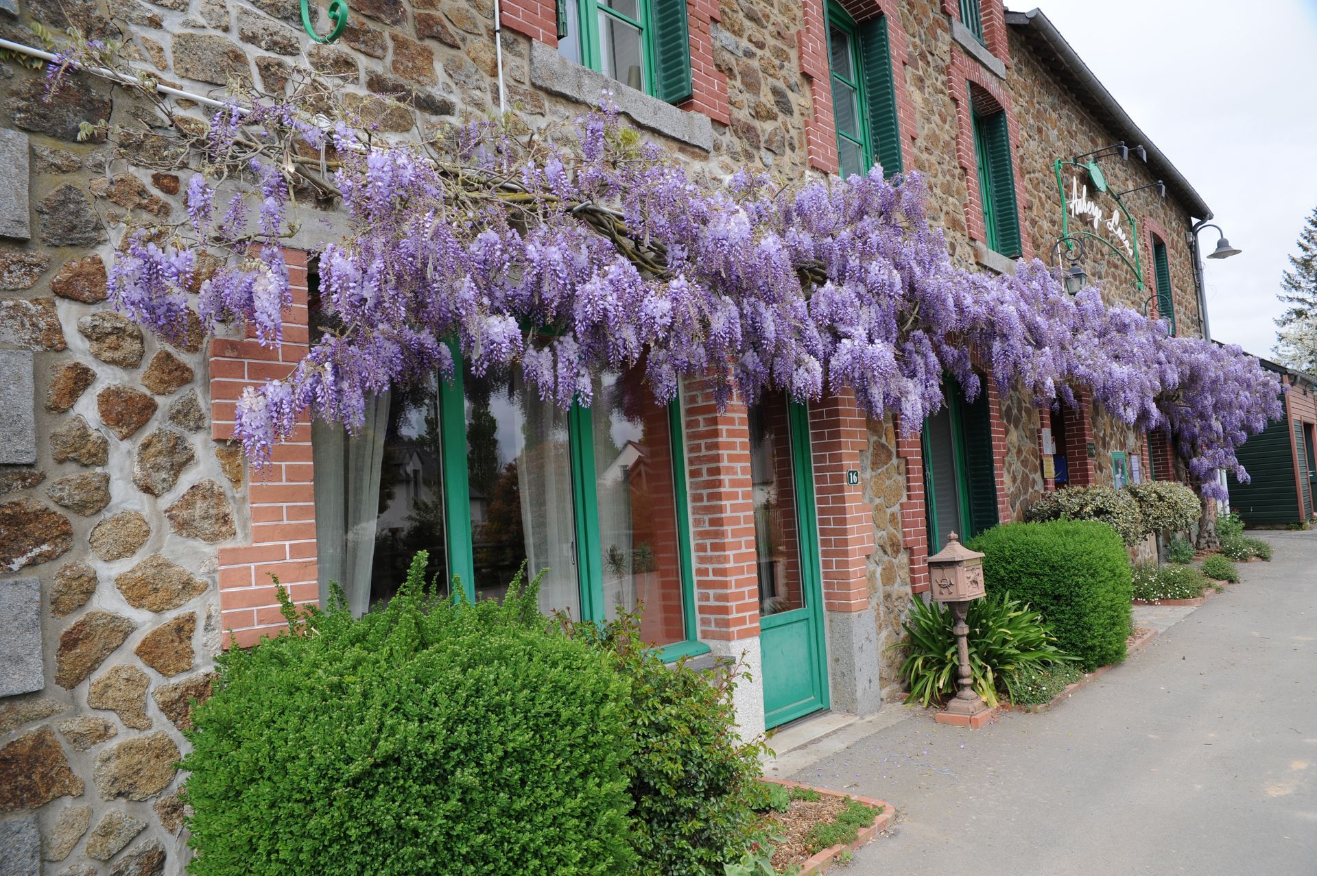 Des fleurs violettes poussent sur le côté d'un bâtiment en briques.