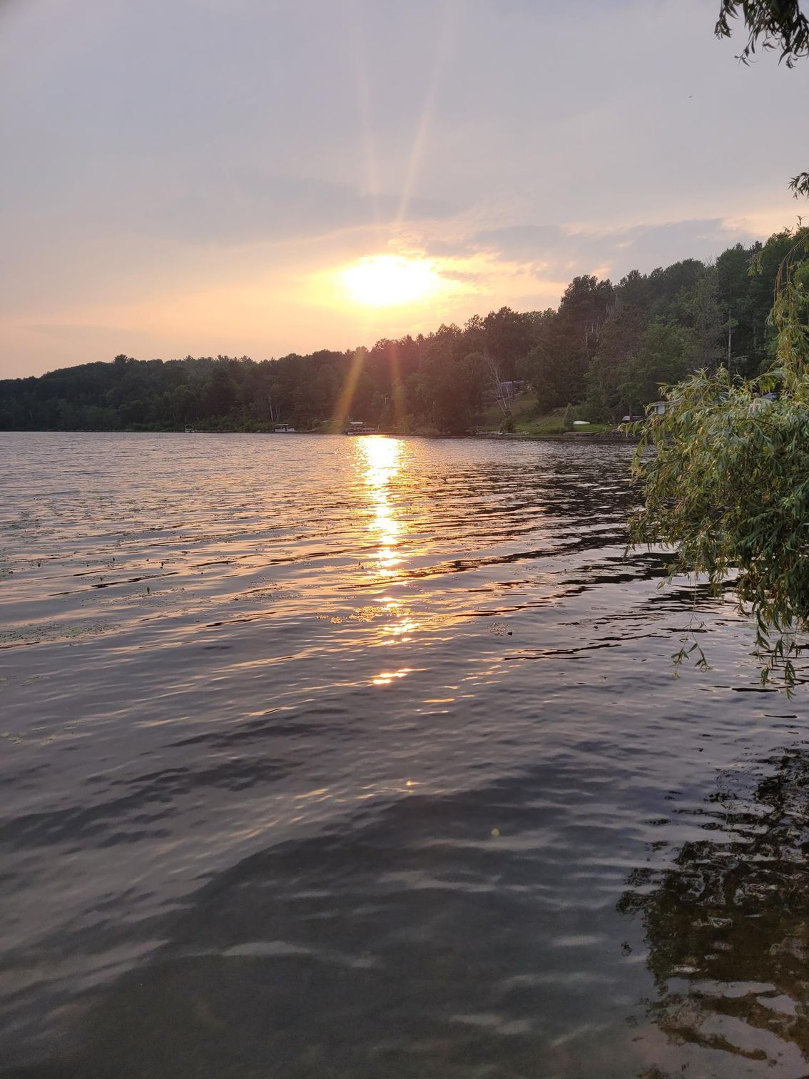 Sunset over a calm lake, with golden reflections and dark tree-lined shores