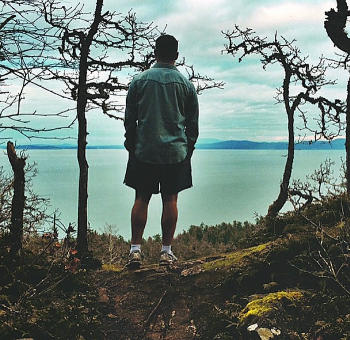 Person stands on a hill, overlooking a body of water. They wear a button-down shirt and shorts. Bare trees frame the view.