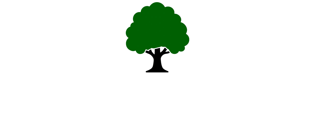 Logo for B&M Tree Service, LLC featuring a green tree icon next to bold black text above a green banner with white text.