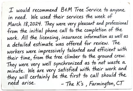 A handwritten testimonial for B&M Tree Service by
