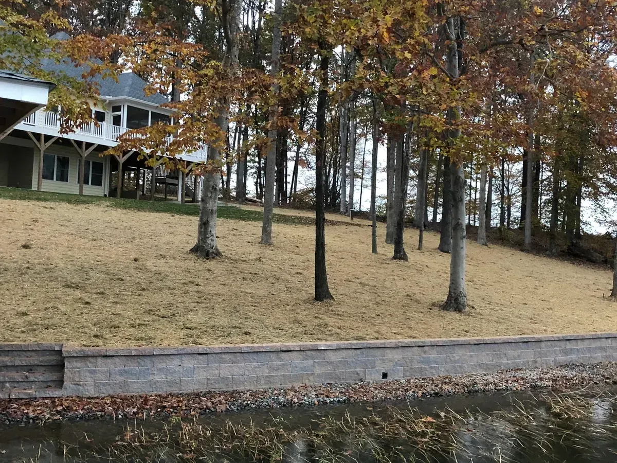 Autumn trees on a grassy slope beside a road, with a house partially visible in the background.