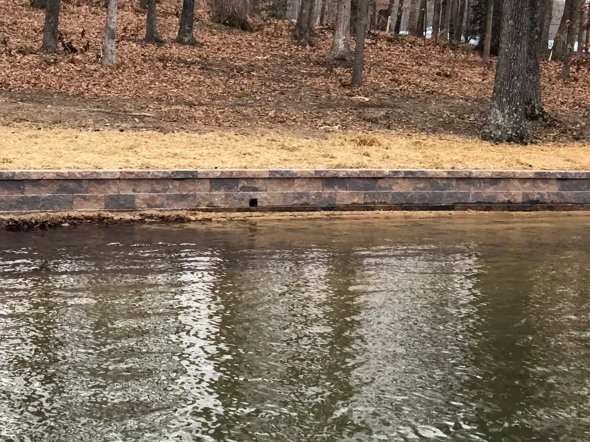 Leaf-covered wooded shoreline beside a calm brown river with tree reflections