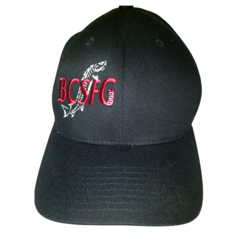 A black baseball cap with the letters bcsfg embroidered on it