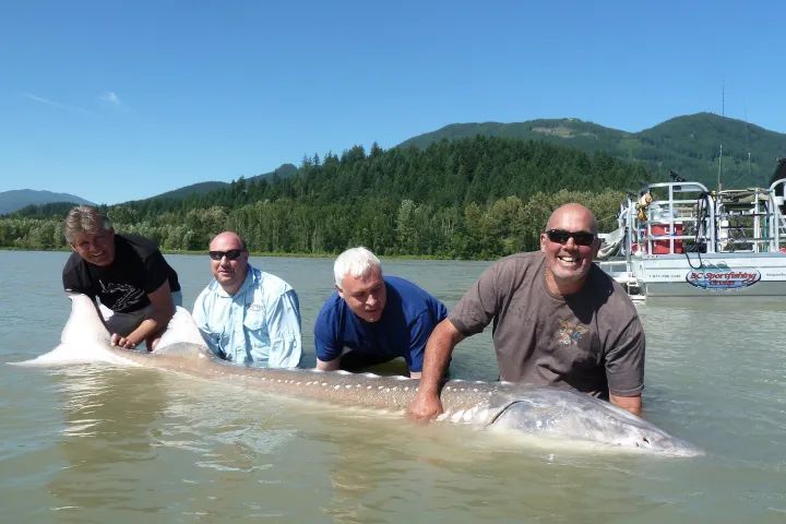 A group of men holding a large fish in the water
