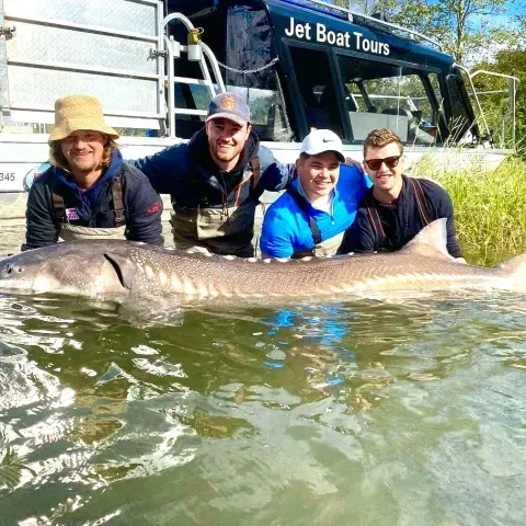 Fishermen in water with sturgeon
