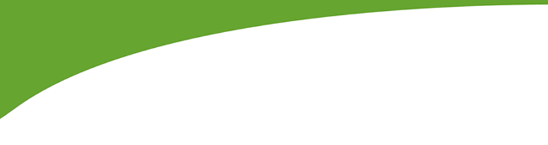 Green curved banner over a white background with a thin gray horizontal line near the bottom.