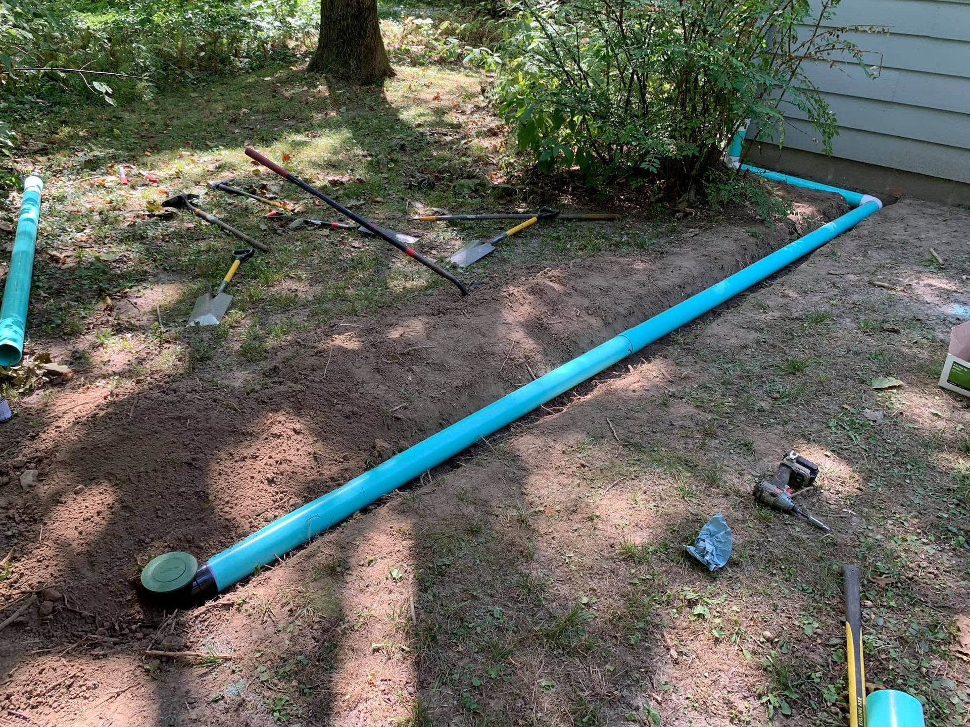 Blue PVC pipes laid on dirt in a yard near a tree and bushes, with tools scattered nearby