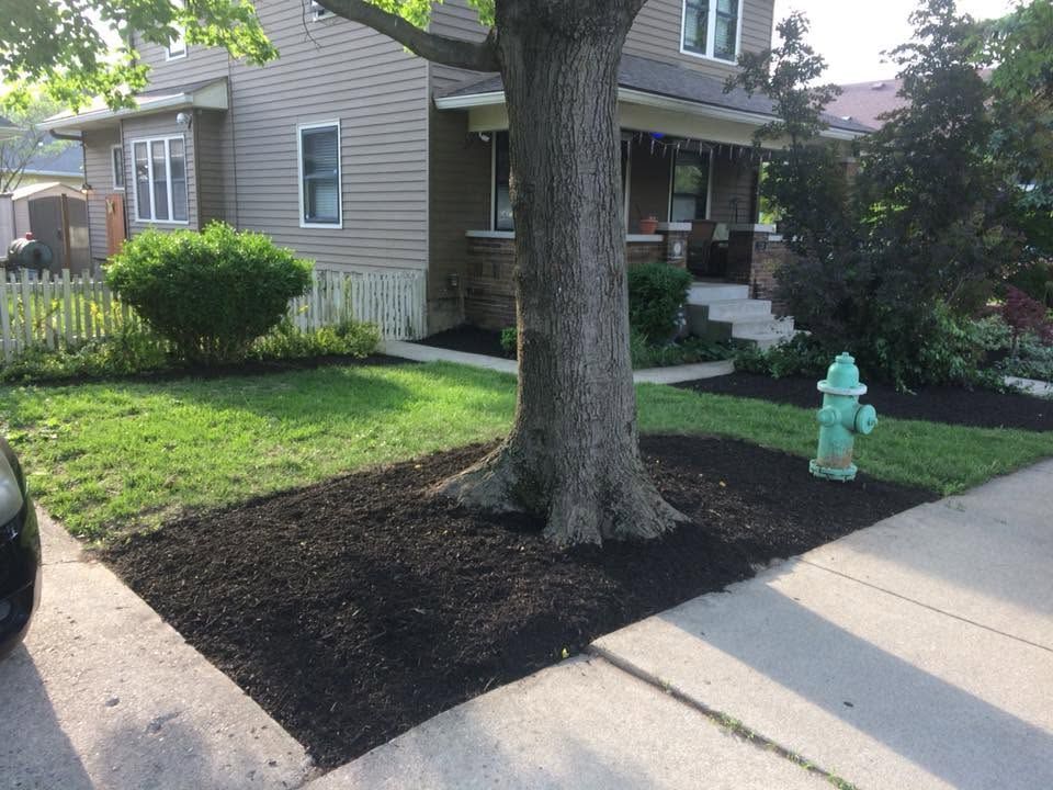 Suburban house front yard with large tree, green hydrant, and sidewalk beside a driveway