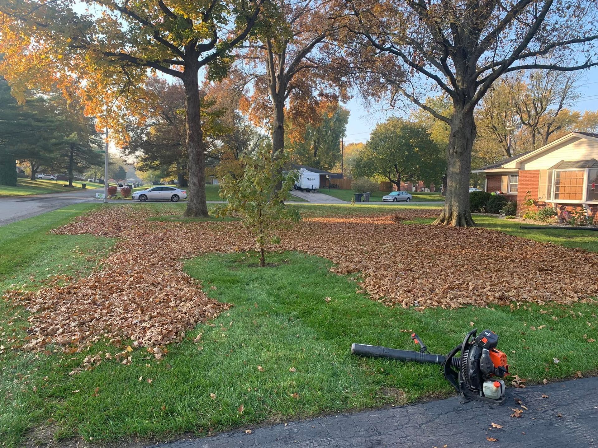 Lawn cleanup with leaf piles, a blower on grass, and autumn trees in a suburban yard