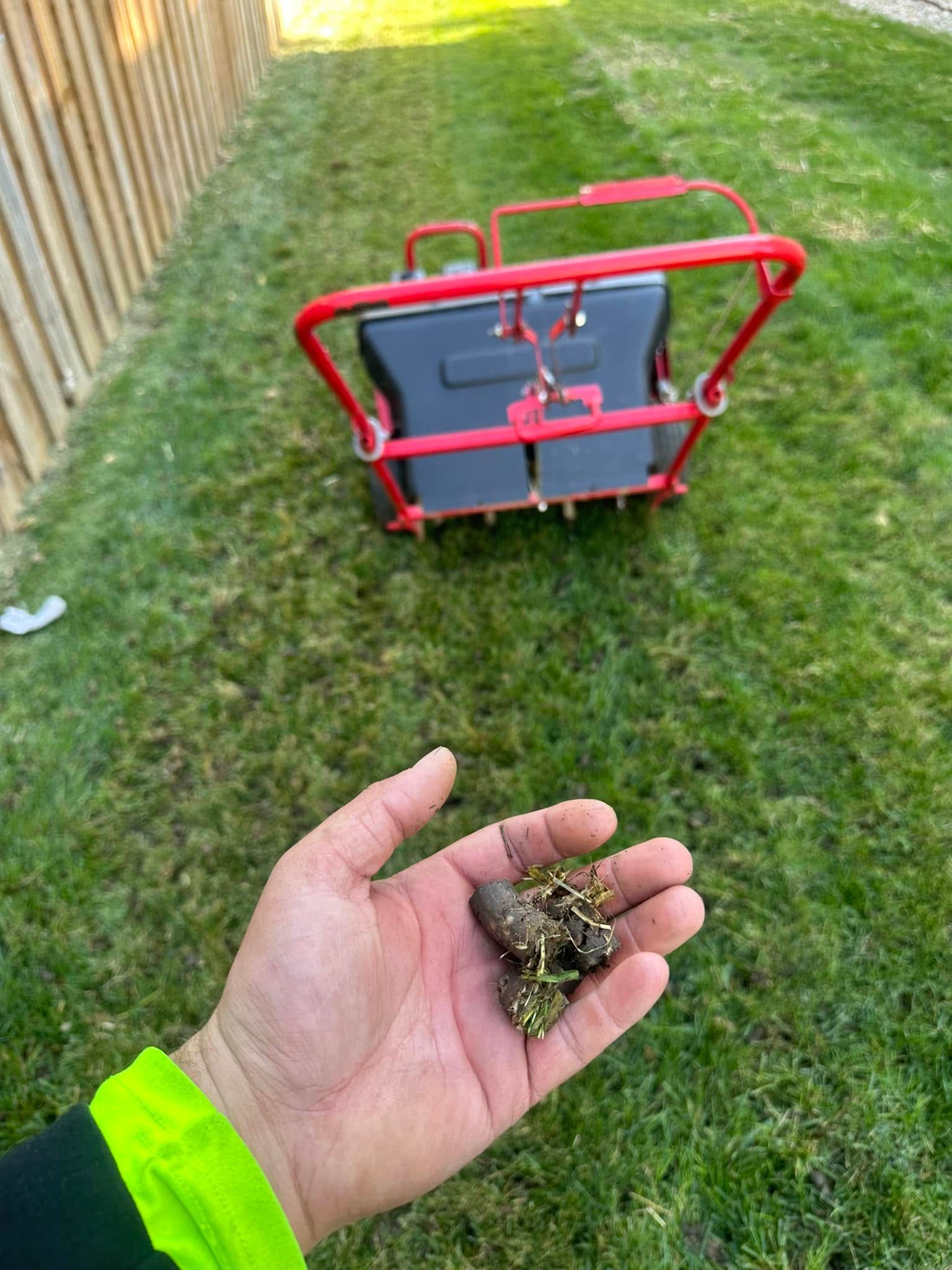 Hand holding a clump of dirt or debris in a backyard near a red garden cart on grass