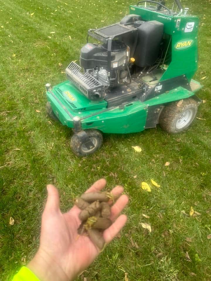 Hand holding fallen leaves in front of a green lawn mower on grass