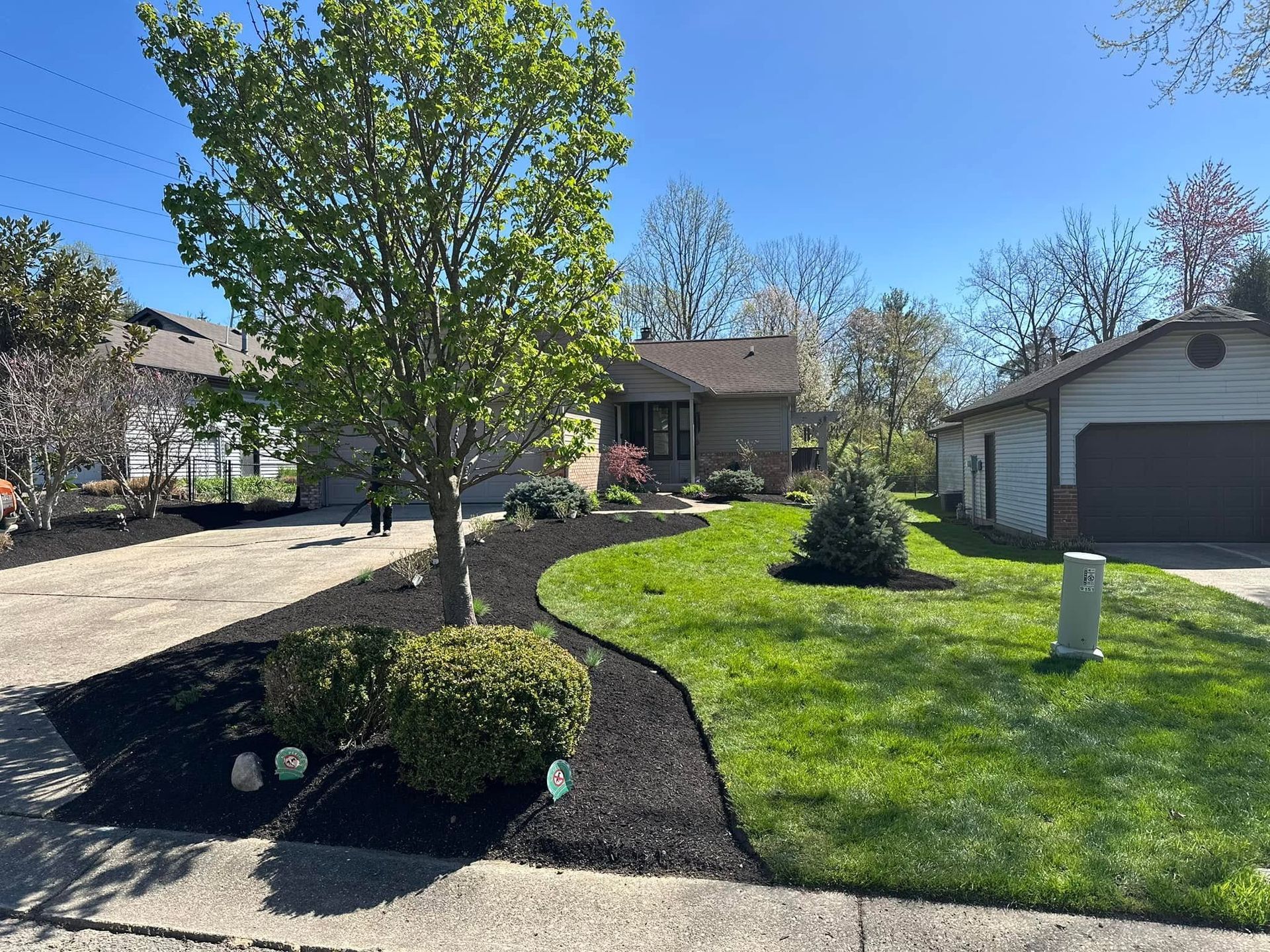 Suburban front yard with green lawn, tree, shrubs, driveway, and a house in the background