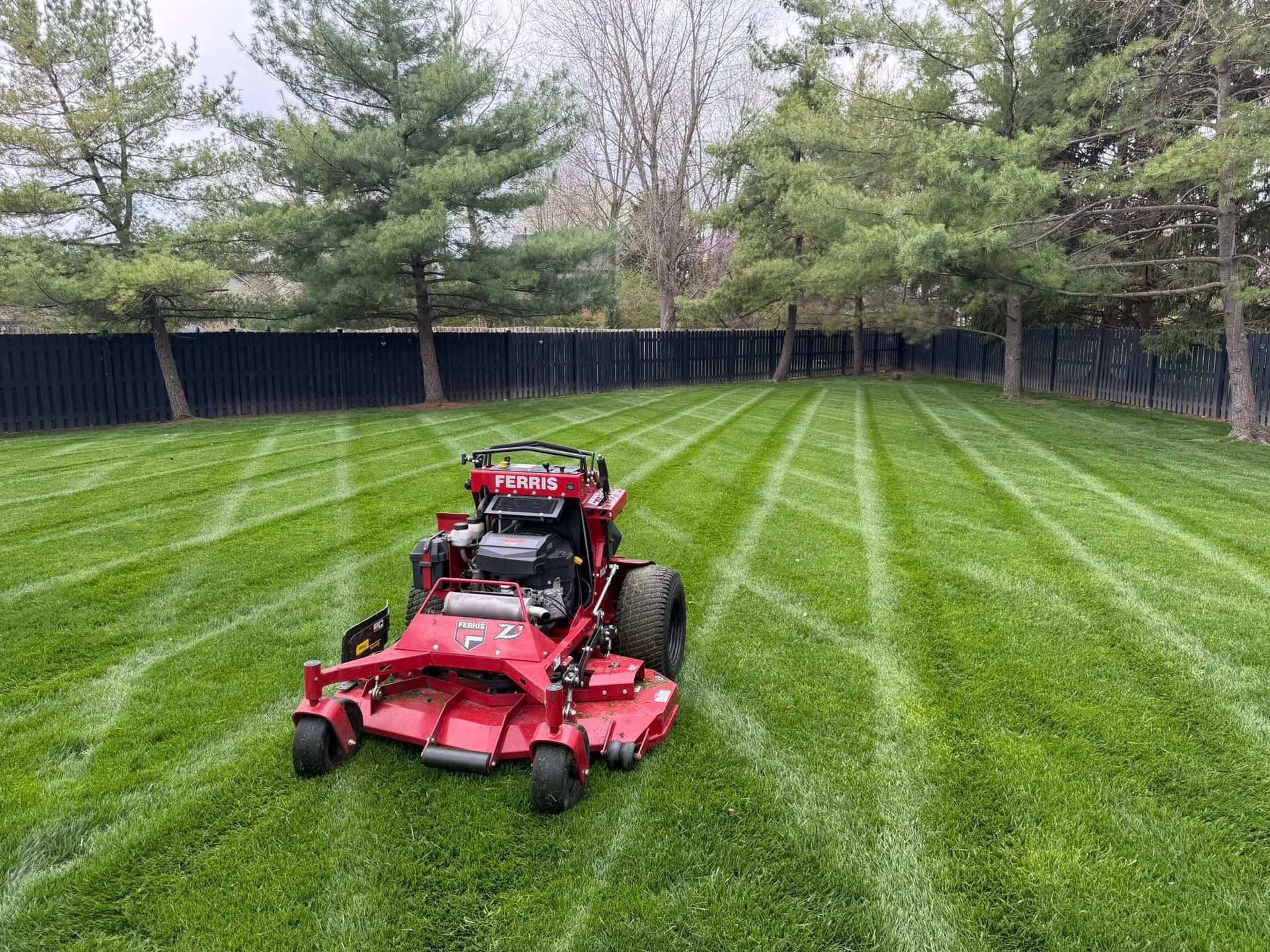 Red zero-turn mower cutting a striped green lawn beside a black fence and trees