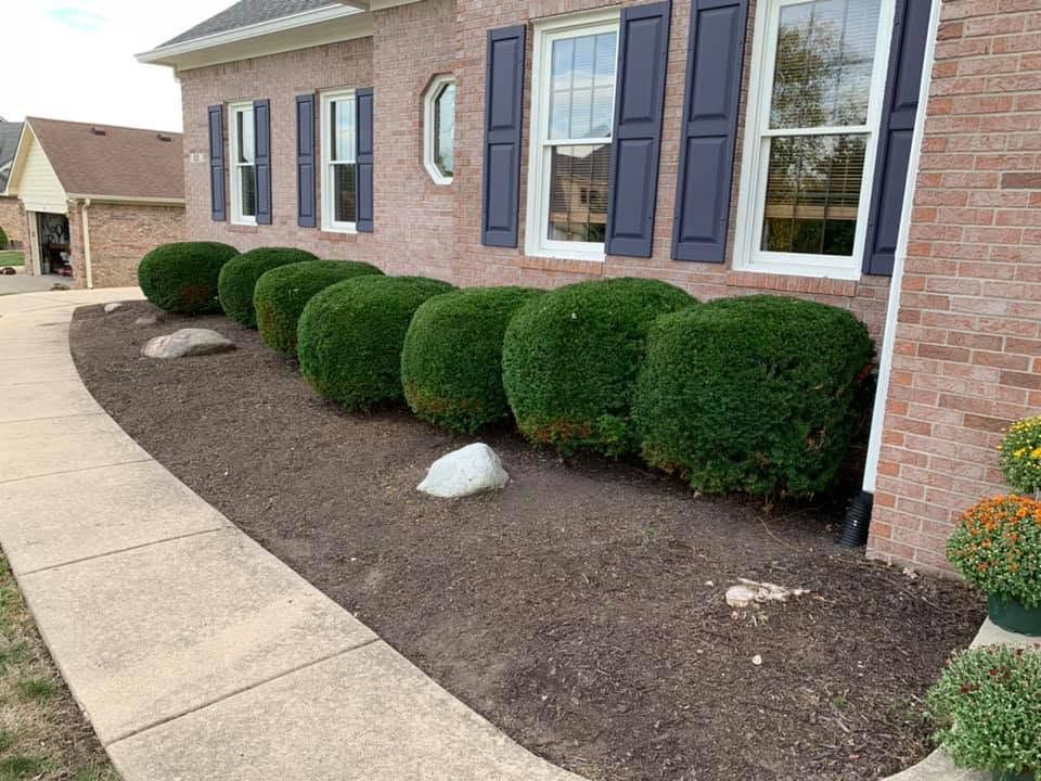 Brick house front yard with trimmed green shrubs along a curved concrete walkway