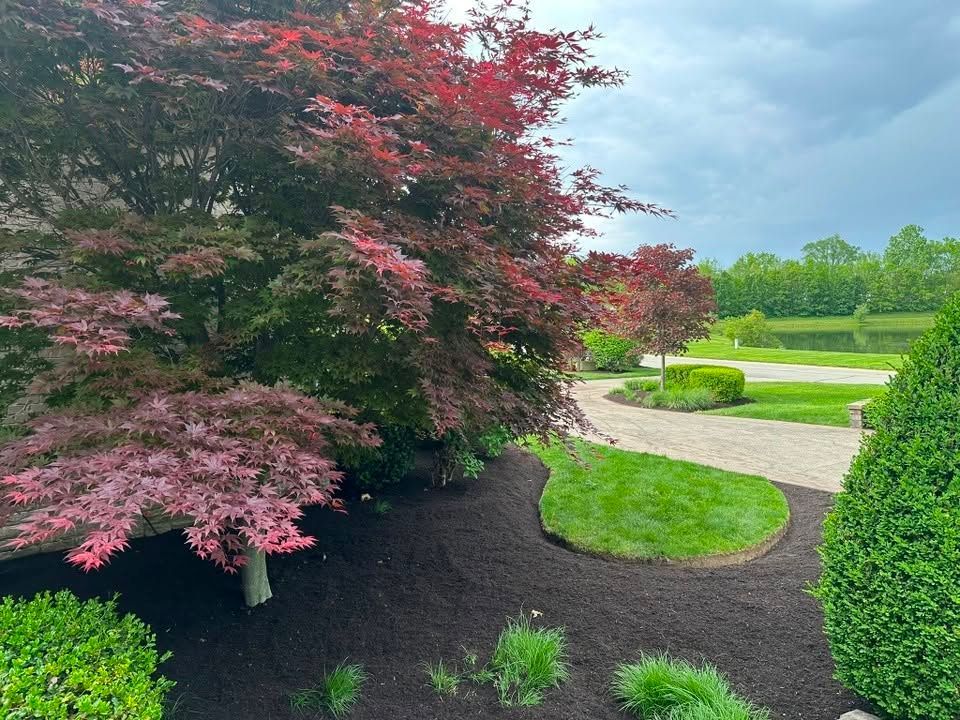 Lush garden with red-leaf shrubs, dark mulch, and a curved stone path under a cloudy sky