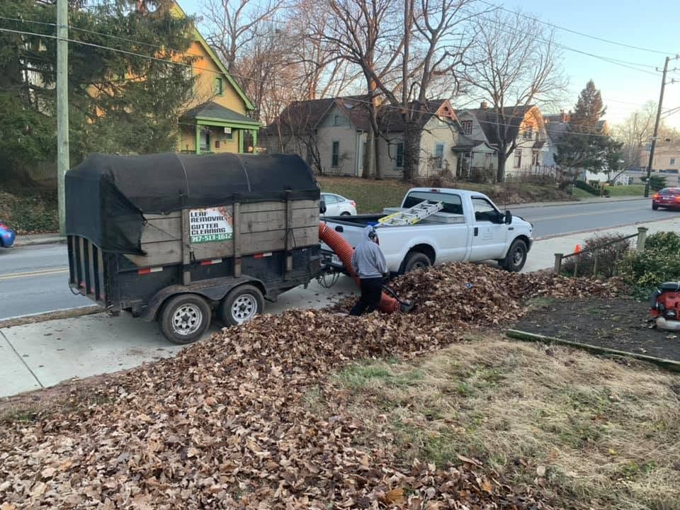 Person loading a leaf-filled trailer beside a white pickup truck on a suburban street.