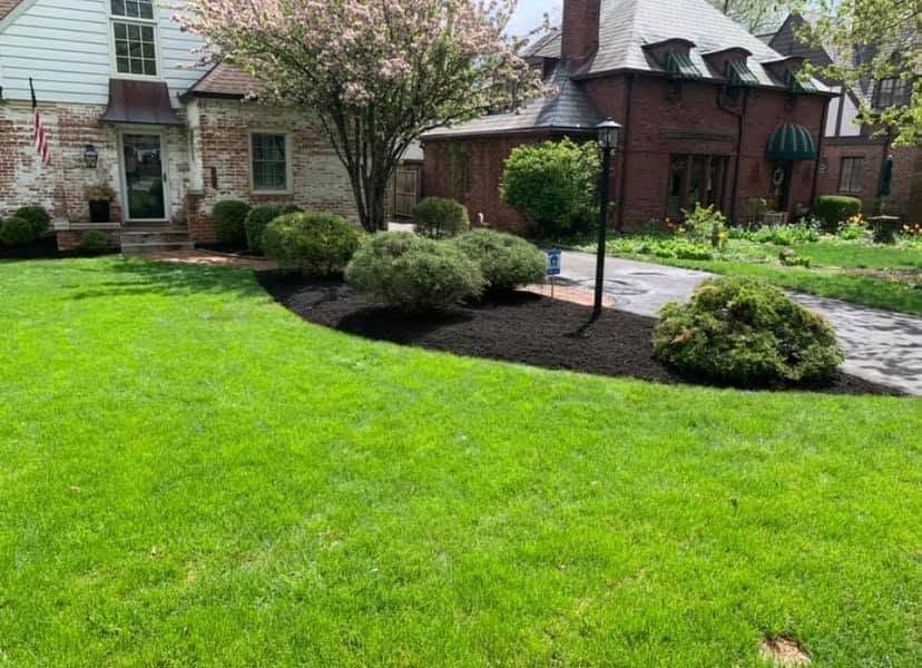 Landscaped front yard with green lawn, shrubs, and a flowering tree beside a brick house