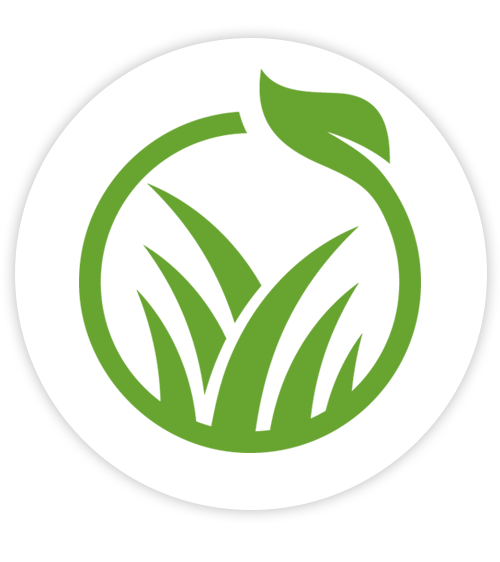 EMF Logo