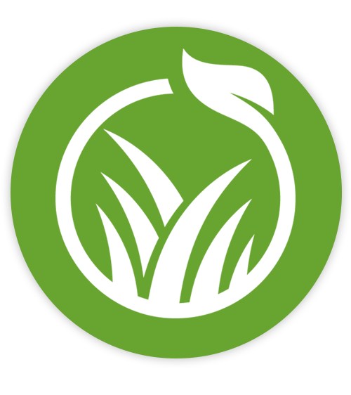 EMF Logo