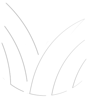 EMF Logo