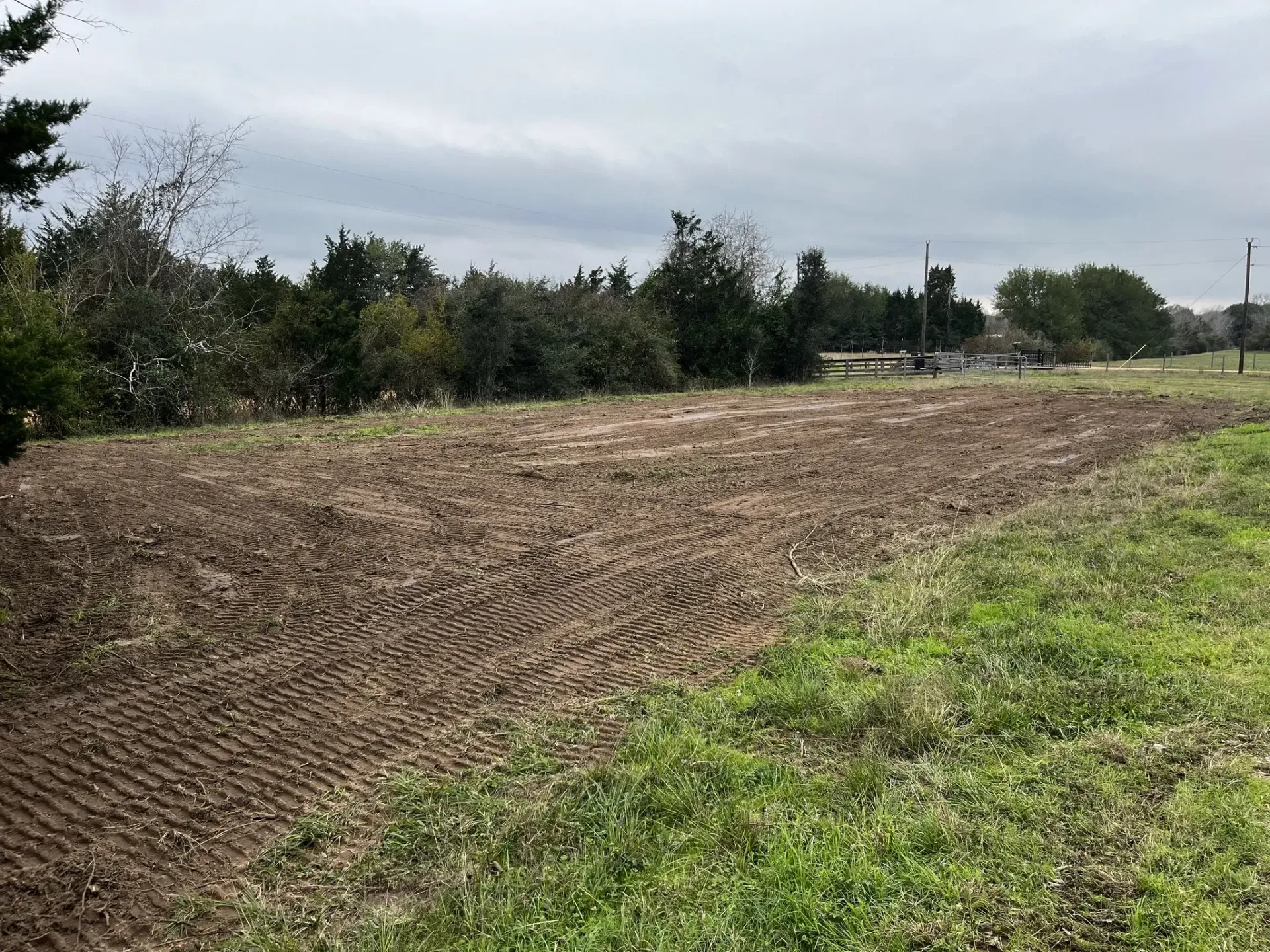 After photo of land clearing in Columbus Texas