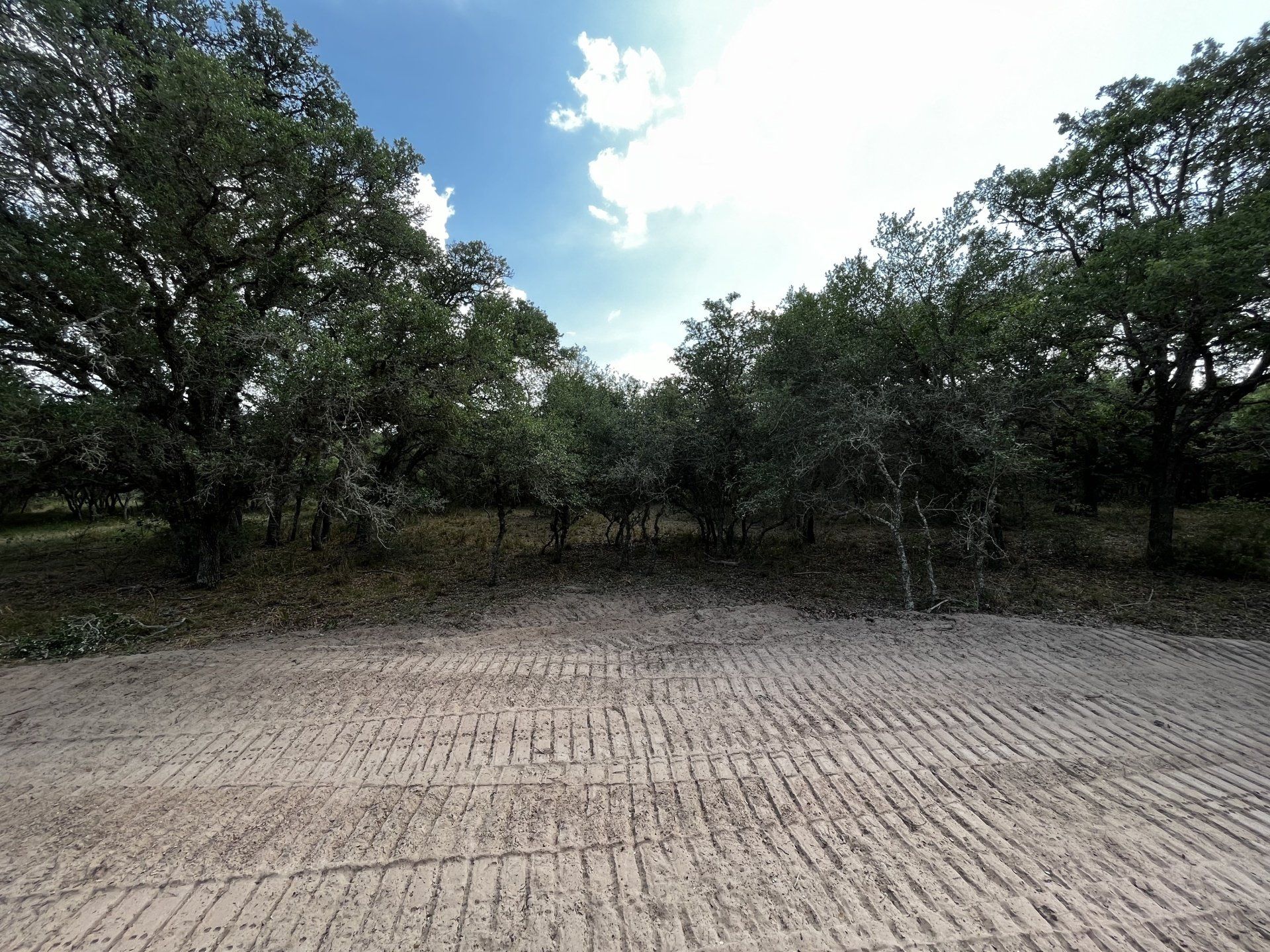 Gulf Coast Conservation field project image