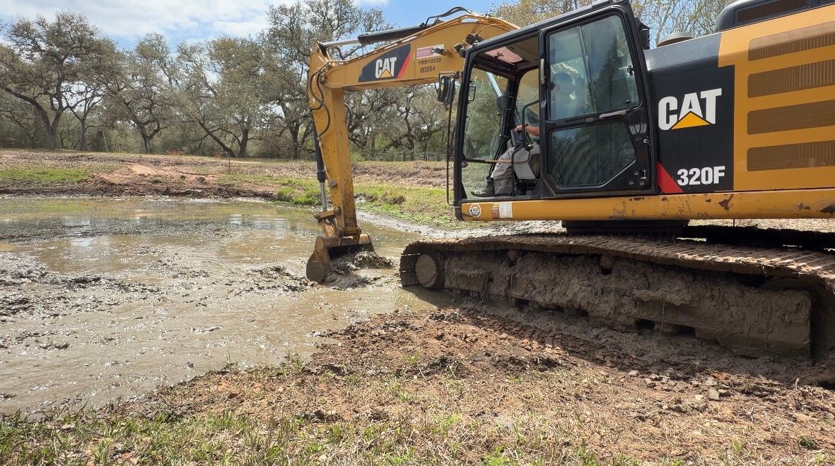 Recent Gulf Coast Conservation project photo