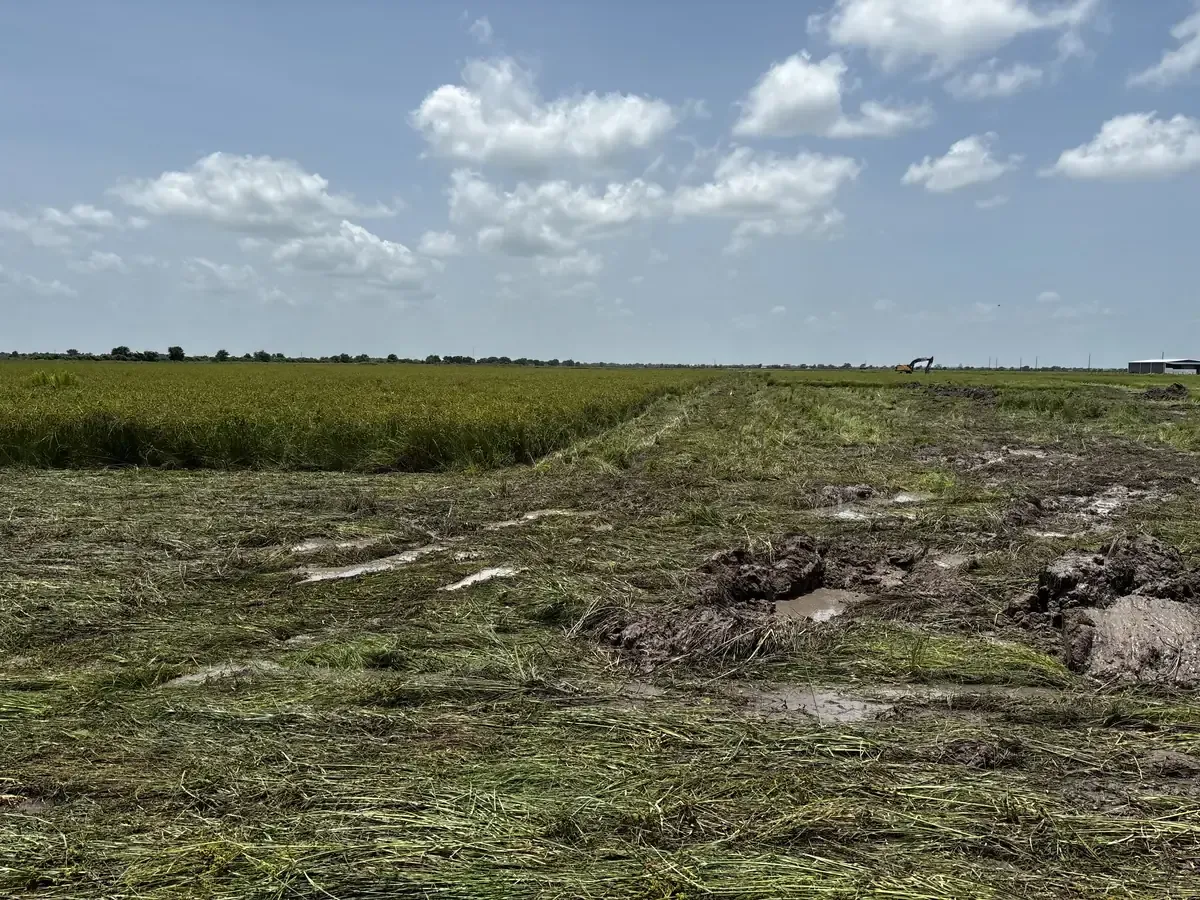 Flat former rice-field acreage before earthwork began in Cat Spring, Texas