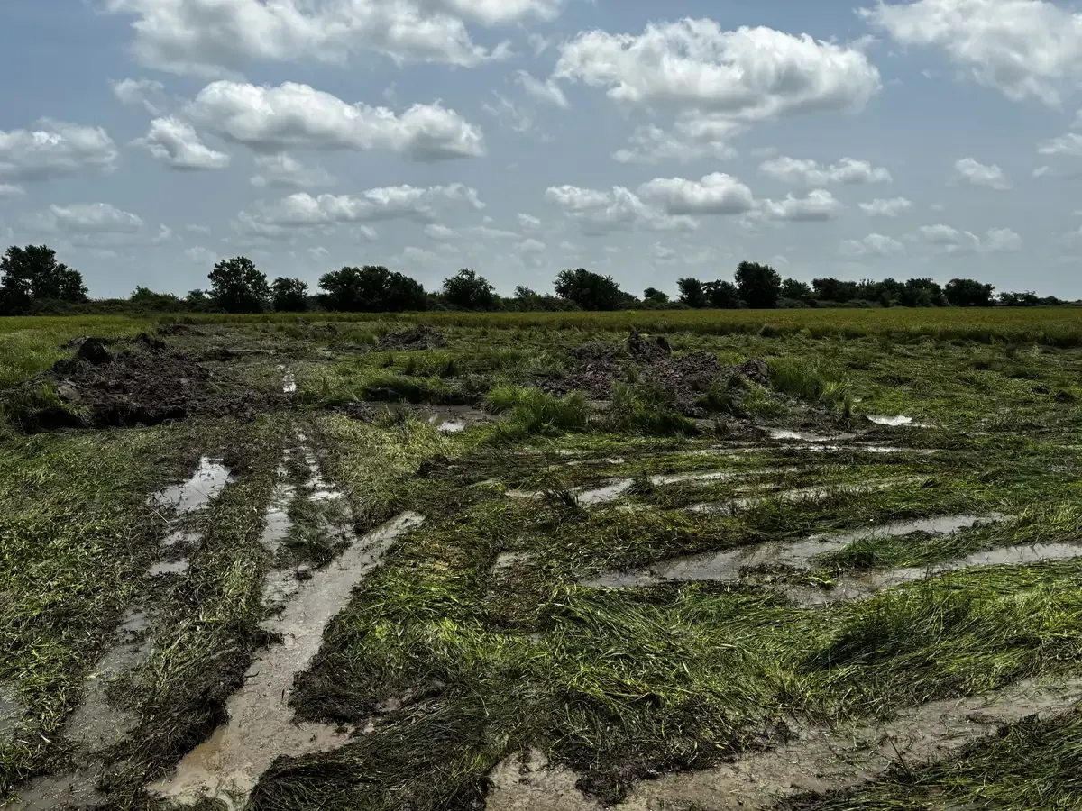 Standing water across former rice-field acreage before pond construction and land grading in Cat Spring, Texas