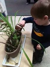 Child Watering the Plant — Woodridge, IL — Montessori of Woodridge