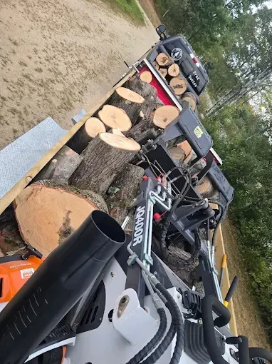 A log splitter positioned on a trailer bed filled with chopped firewood logs near a wooded area.