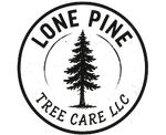 Circular logo for Lone Pine Tree Care LLC featuring a black silhouette of a pine tree in the center on a white background.