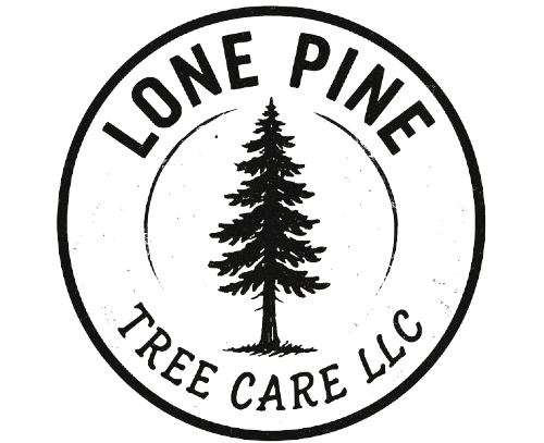 Circular logo for Lone Pine Tree Care LLC featuring a black silhouette of a pine tree in the center on a white background.